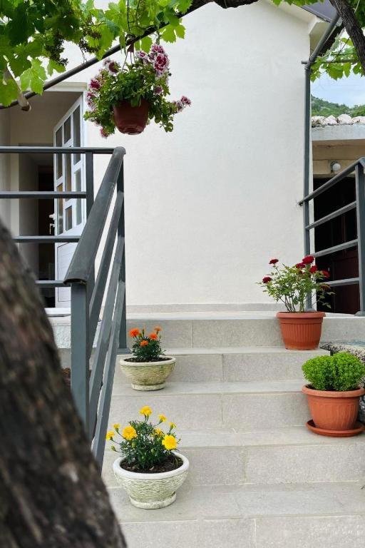 Apartments Stella فيربازار المظهر الخارجي الصورة