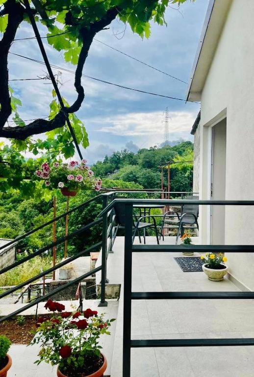 Apartments Stella فيربازار المظهر الخارجي الصورة